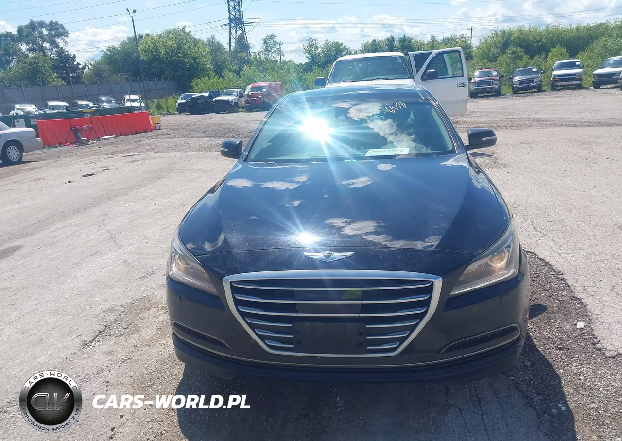 2015 Hyundai Genesis 3.8 VIN:KMHGN4JE9FU016664 - 12