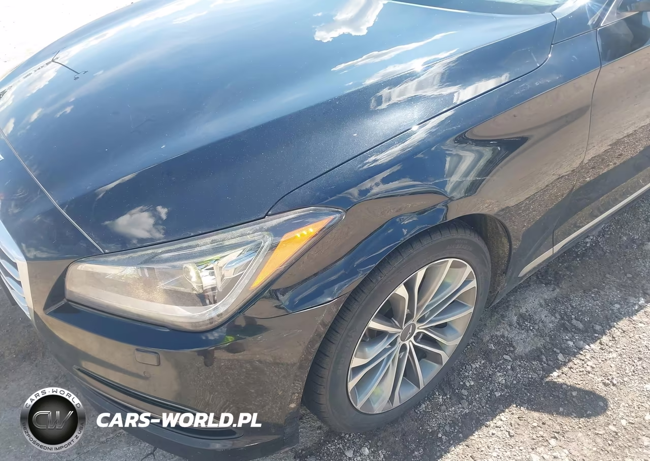 2015 Hyundai Genesis 3.8 VIN:KMHGN4JE9FU016664 - 6