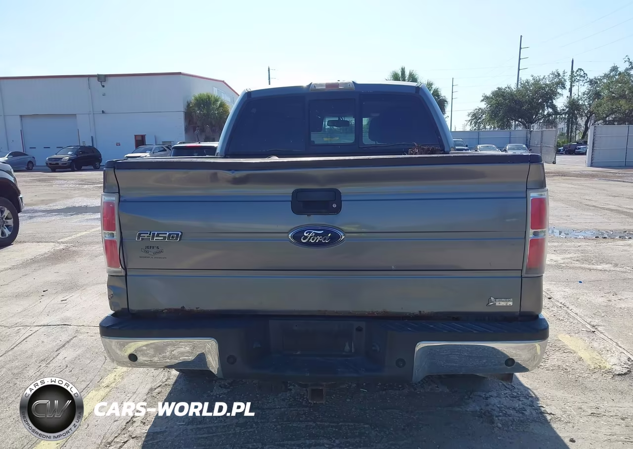 2010 Ford F150 Supercrew VIN:1FTFW1EV3AFC15731 - 16