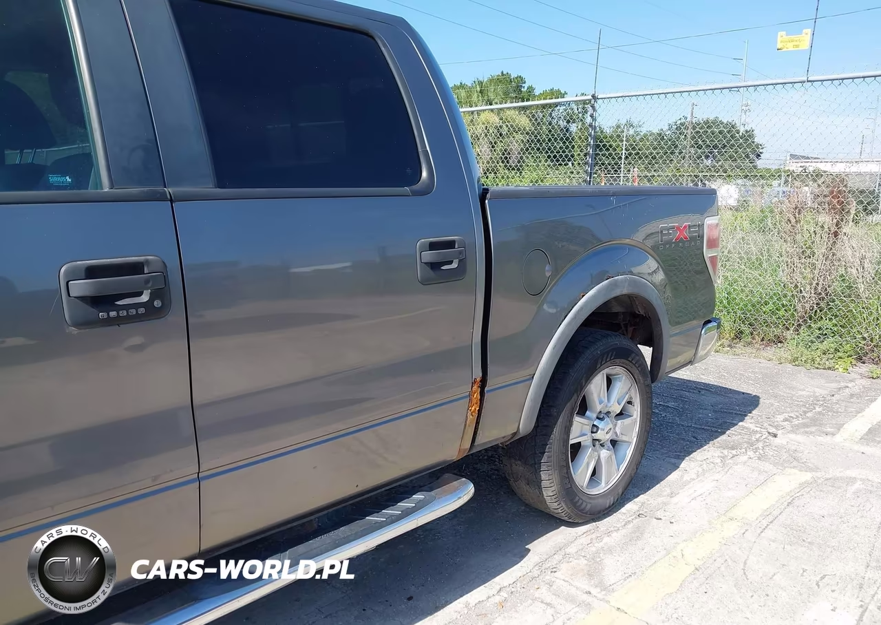 2010 Ford F150 Supercrew VIN:1FTFW1EV3AFC15731 - 17