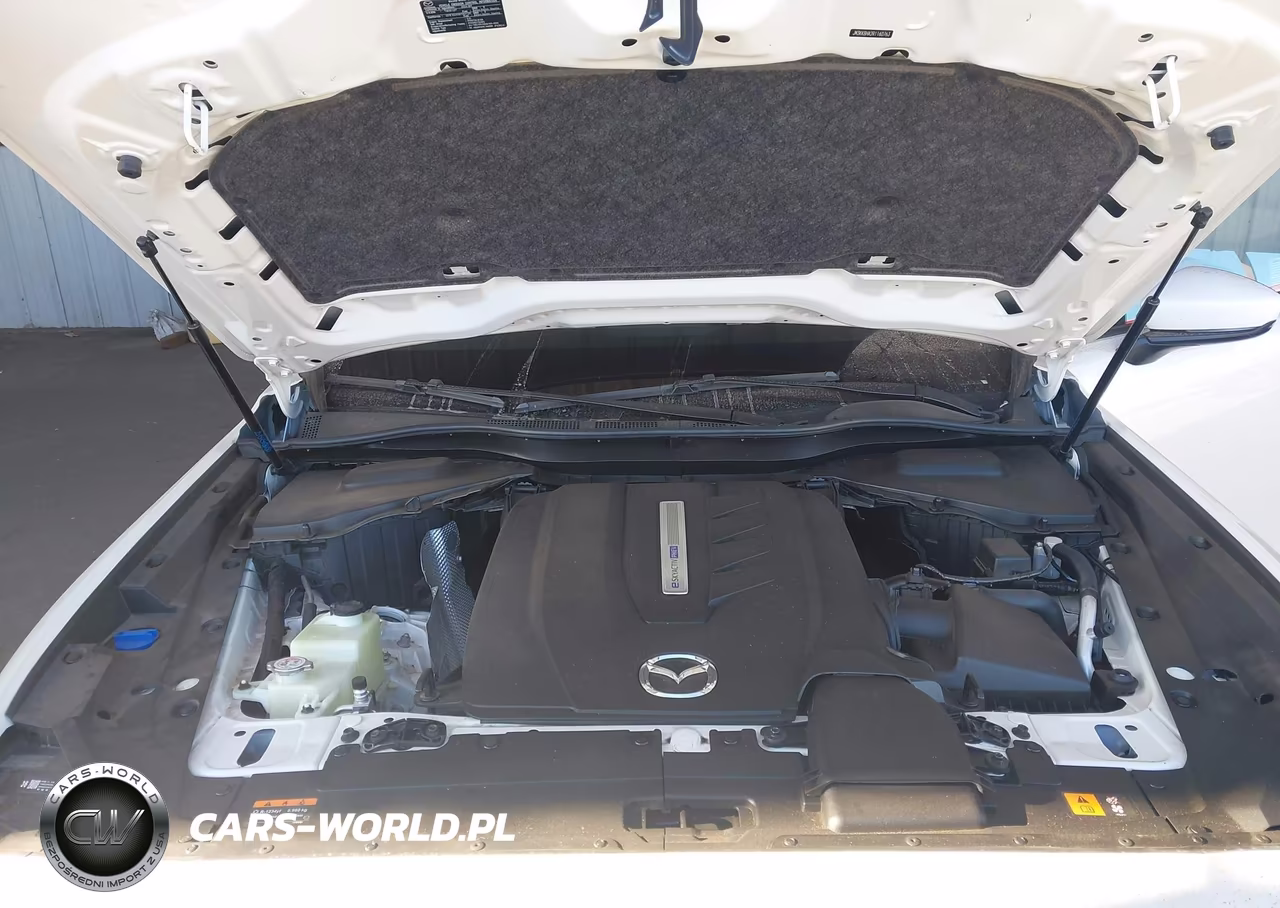 2024 Mazda Cx-90 Phev Preferred VIN:JM3KKBHA2R1160763 - 10
