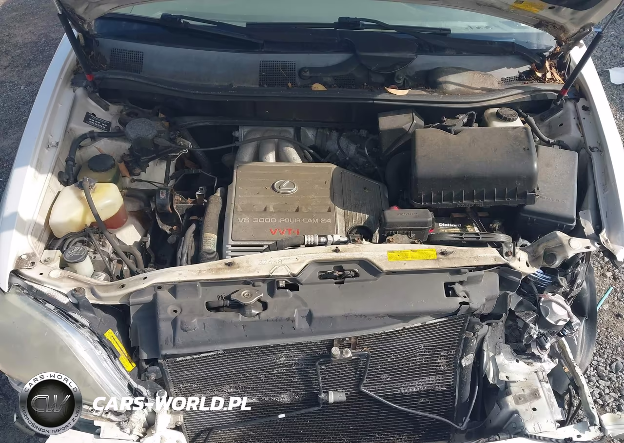 2001 Lexus Rx 300 VIN:JTJHF10U910177767 - 10