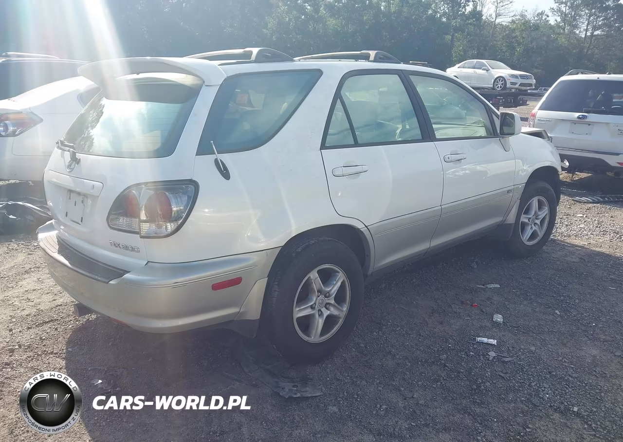 2001 Lexus Rx 300 VIN:JTJHF10U910177767 - 4