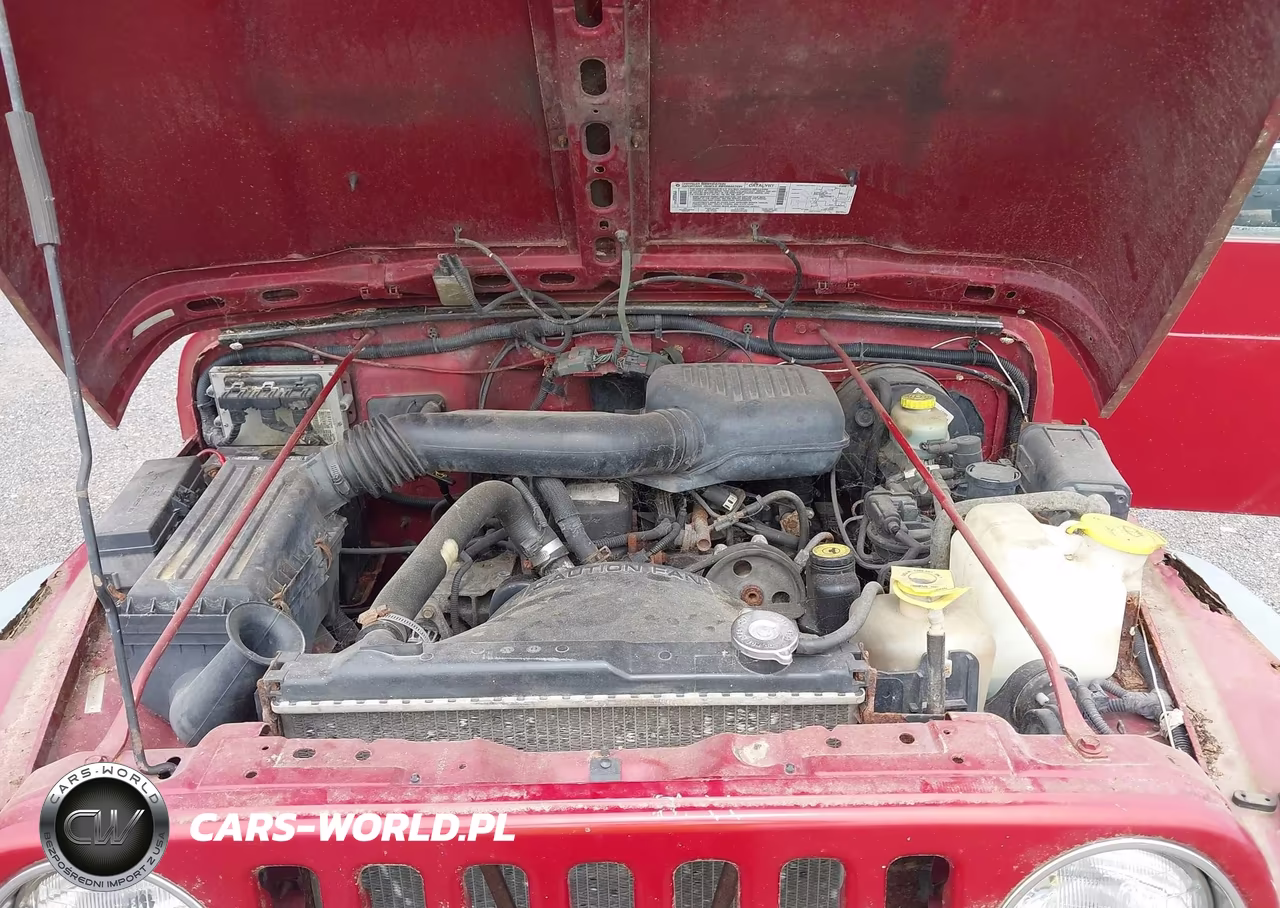 1999 Jeep Wrangler Se VIN:1J4FY29P1XP447026 - 10