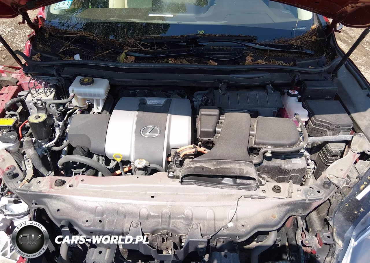 2020 Lexus Rx 450Hl VIN:JTJHGKFA6L2010774 - 10