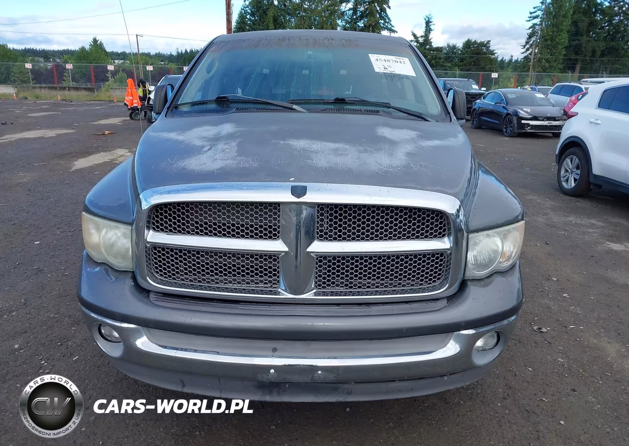 2002 Dodge Ram 1500 St VIN:1D7HA18N32S594165 - 6