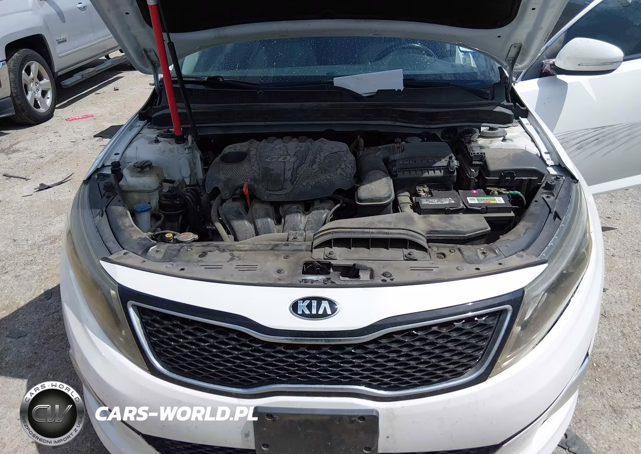 2014 Kia Optima Ex VIN:5XXGN4A79EG290845 - 10