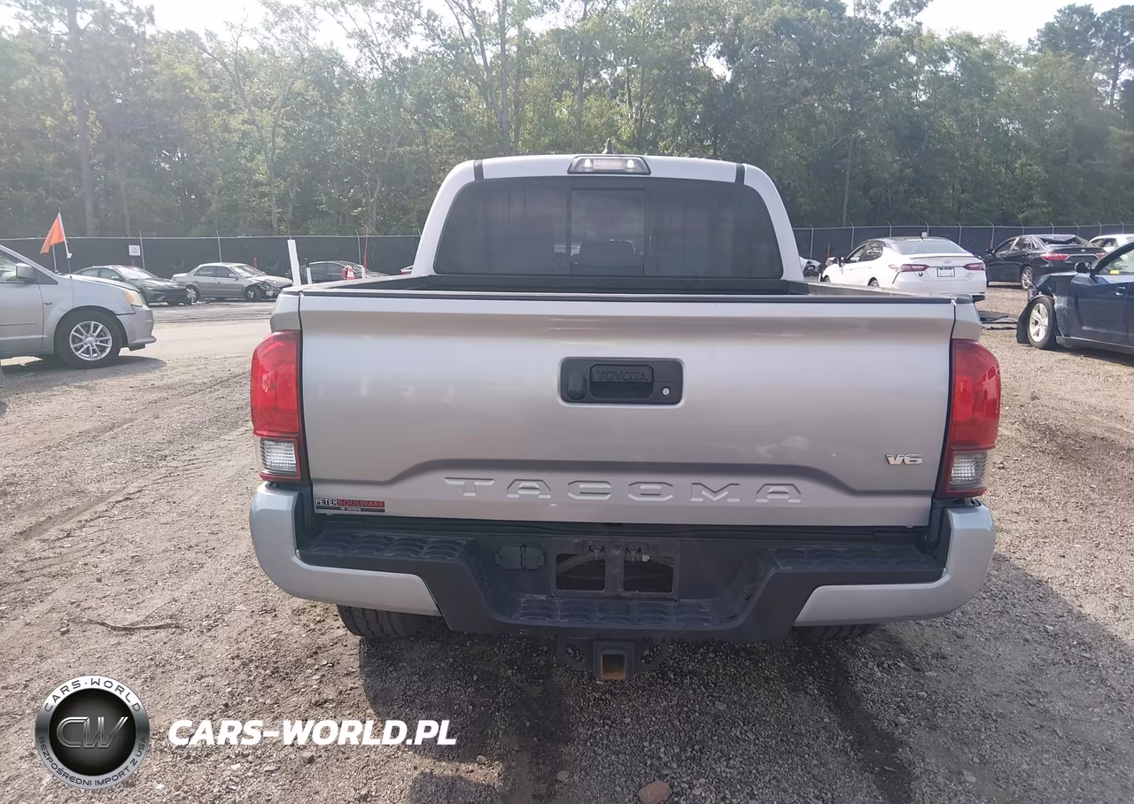 2019 Toyota Tacoma Trd Sport VIN:3TMCZ5AN4KM213334 - 17