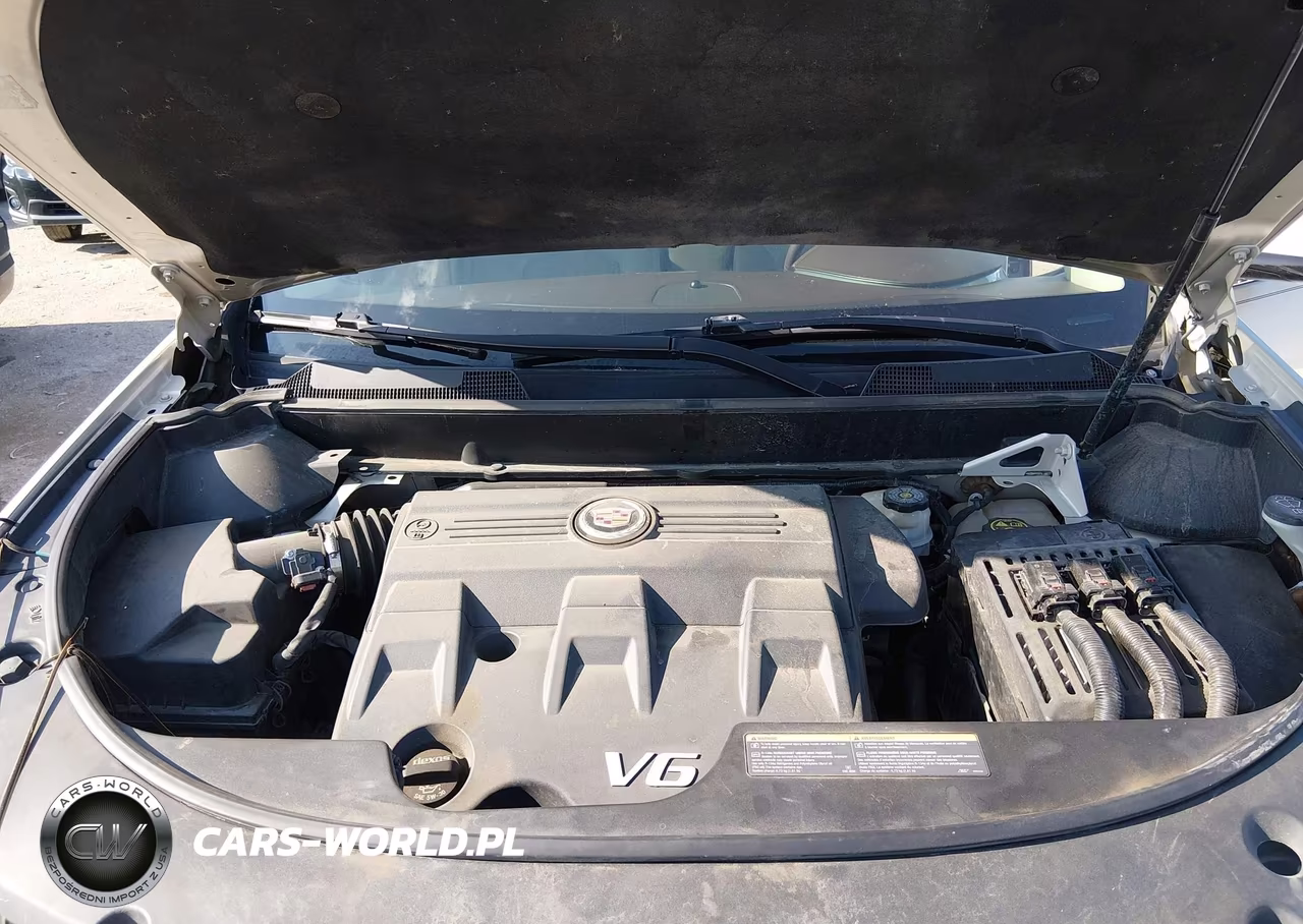 CADILLAC SRX PERFOR VIN:3GYFNCE37GS529152 - 10