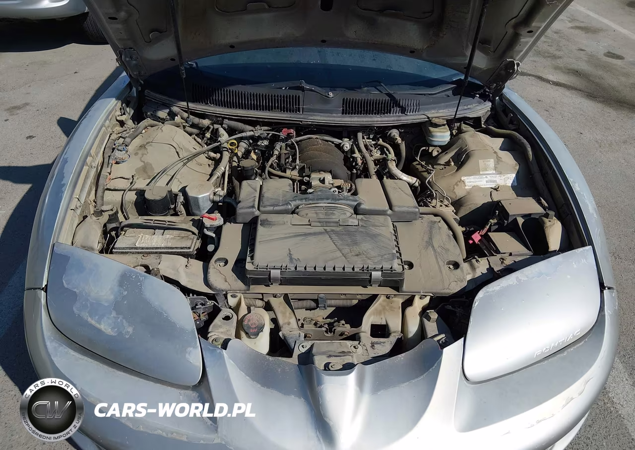 2002 Pontiac Firebird Trans Am VIN:2G2FV22G222124178 - 10
