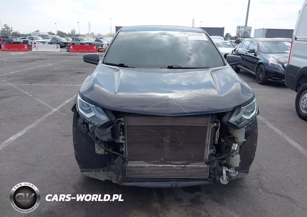 2019 Chevrolet Equinox Ls VIN:3GNAXSEV8KL401440 - 13