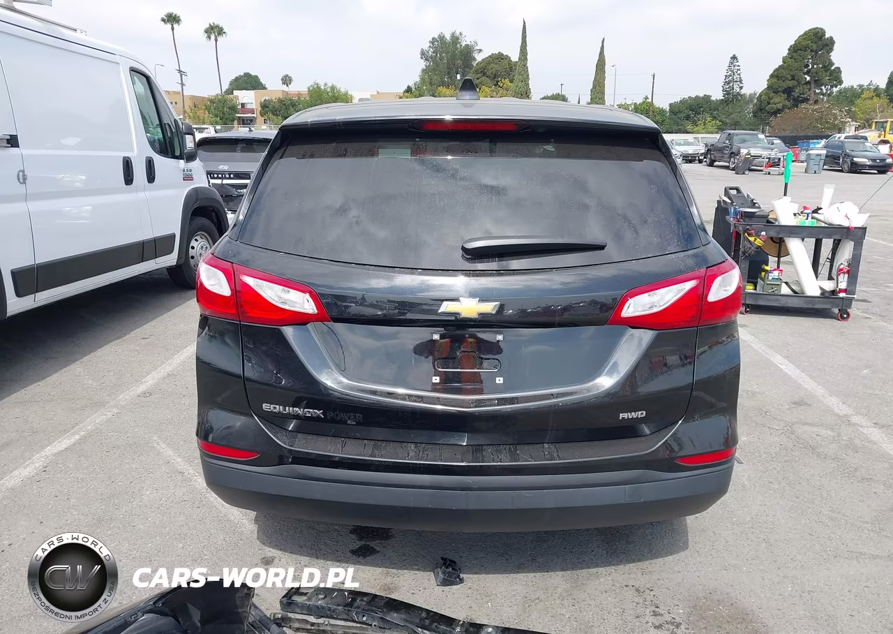 2019 Chevrolet Equinox Ls VIN:3GNAXSEV8KL401440 - 17
