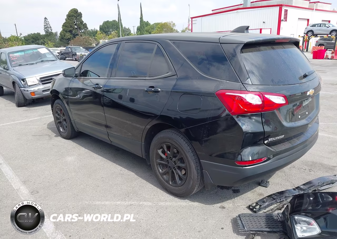 2019 Chevrolet Equinox Ls VIN:3GNAXSEV8KL401440 - 3