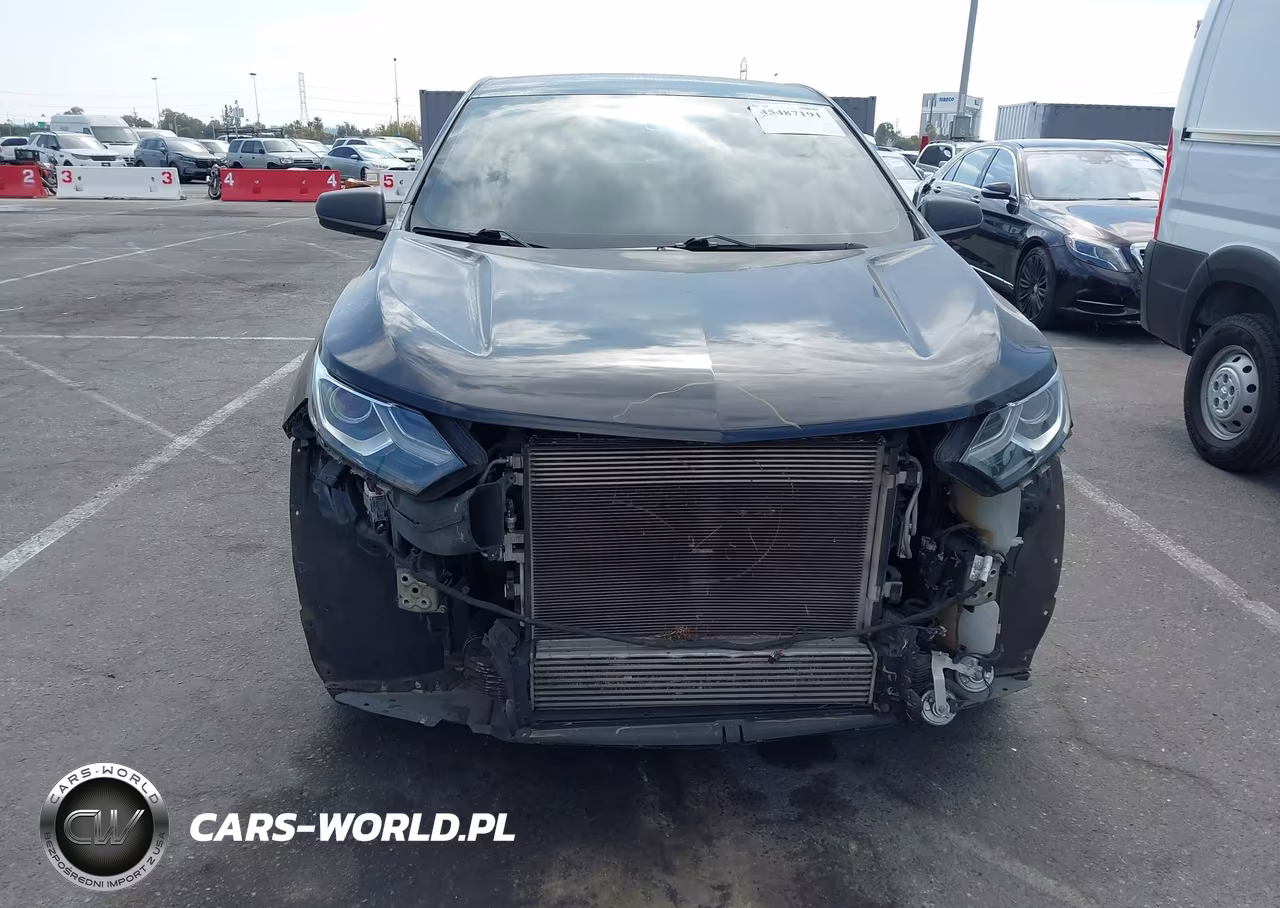 2019 Chevrolet Equinox Ls VIN:3GNAXSEV8KL401440 - 6