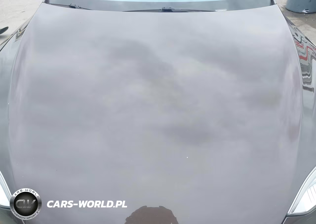 2013 Tesla Model S VIN:5YJSA1BC8DFP10483 - 10