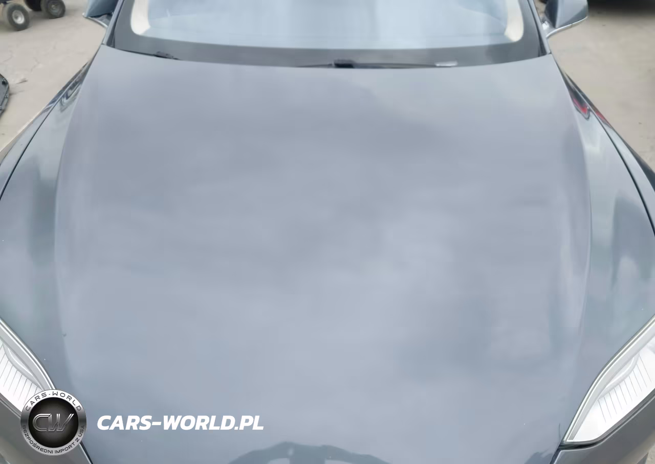 2013 Tesla Model S Performance VIN:5YJSA1CPXDFP17341 - 10