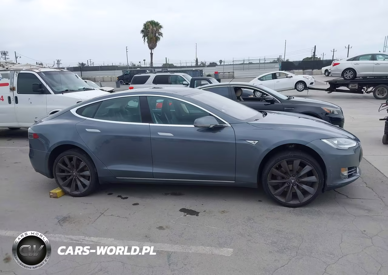 2013 Tesla Model S Performance VIN:5YJSA1CPXDFP17341 - 12