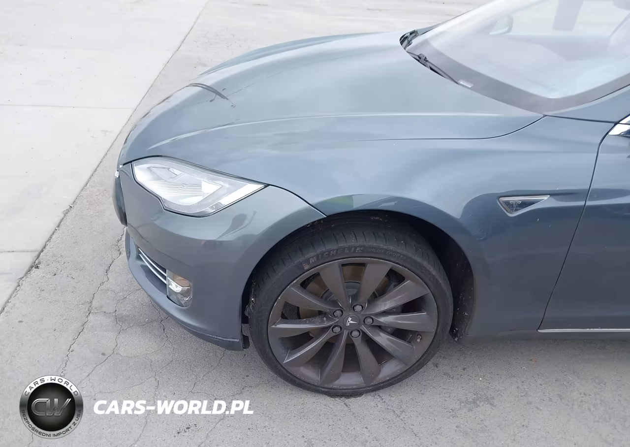 2013 Tesla Model S Performance VIN:5YJSA1CPXDFP17341 - 6