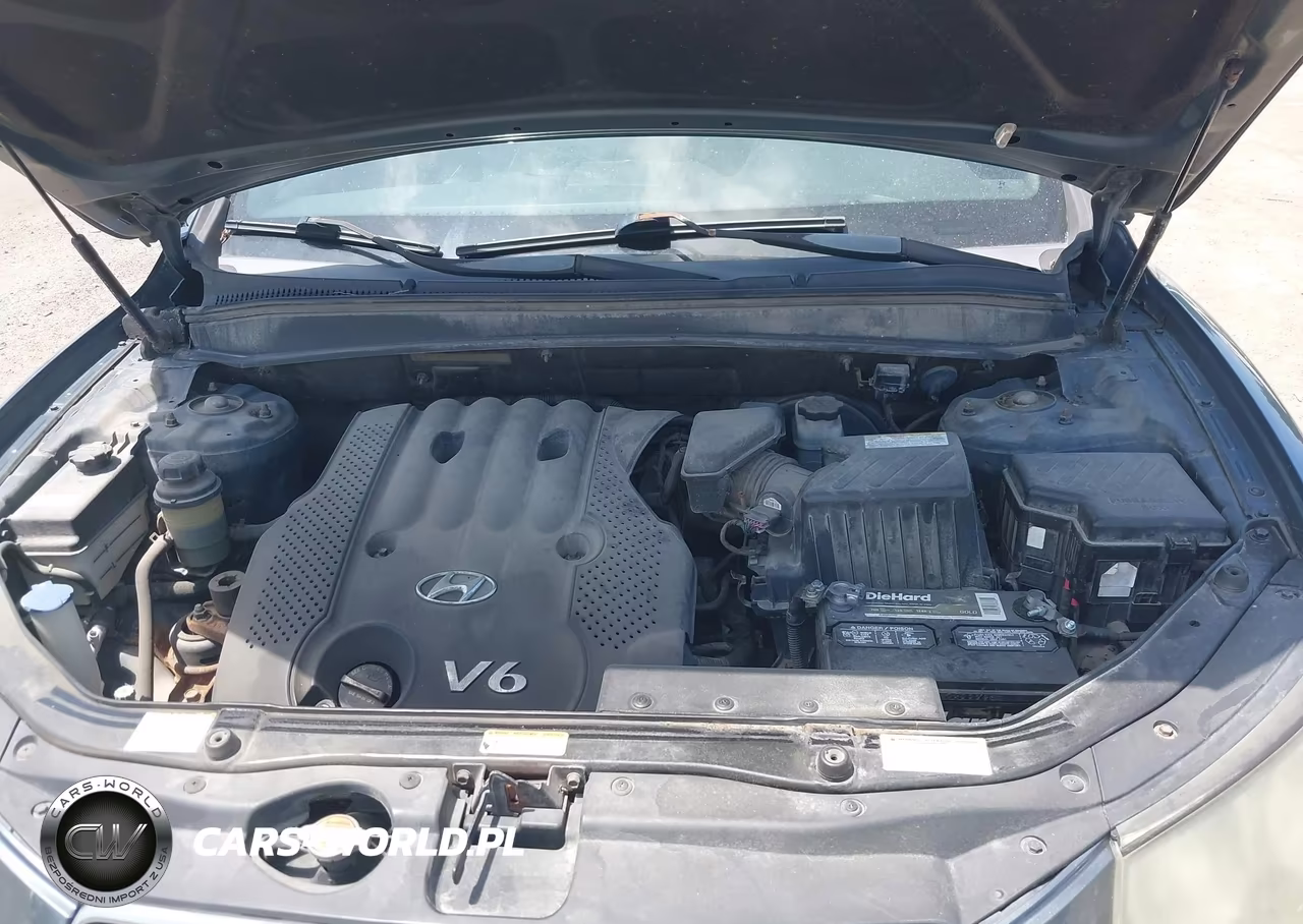 2007 Hyundai Santa Fe Gls VIN:5NMSG13D27H123642 - 10
