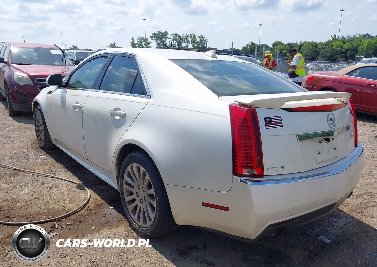 2010 Cadillac Cts Luxury VIN:1G6DE5EG2A0126886 - 3