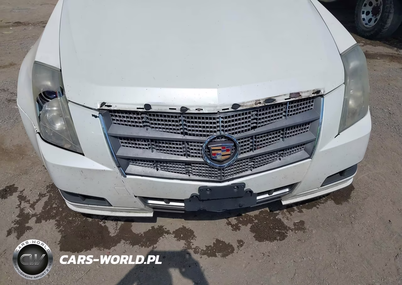2010 Cadillac Cts Luxury VIN:1G6DE5EG2A0126886 - 6