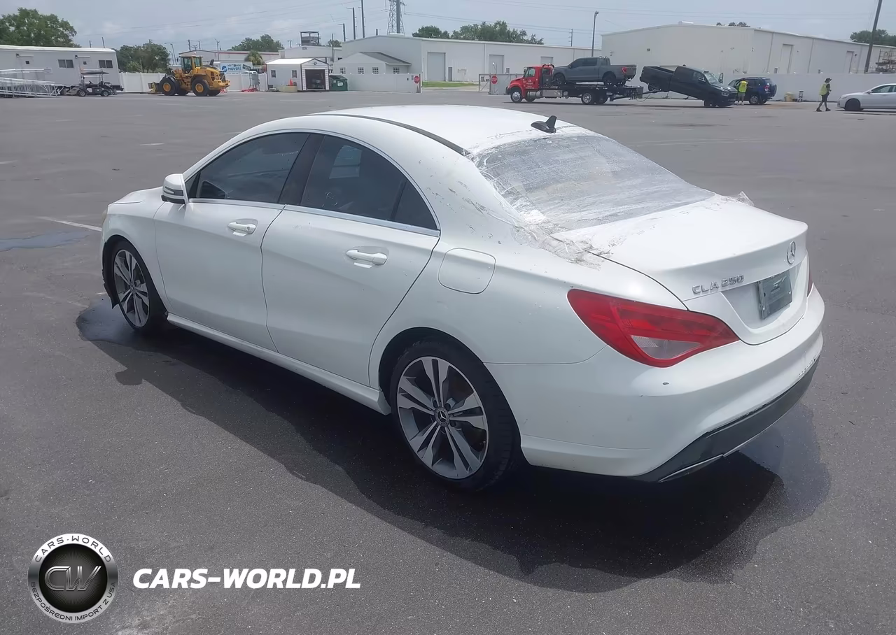 2019 Mercedes-Benz Cla 250 VIN:WDDSJ4EB4KN774092 - 3