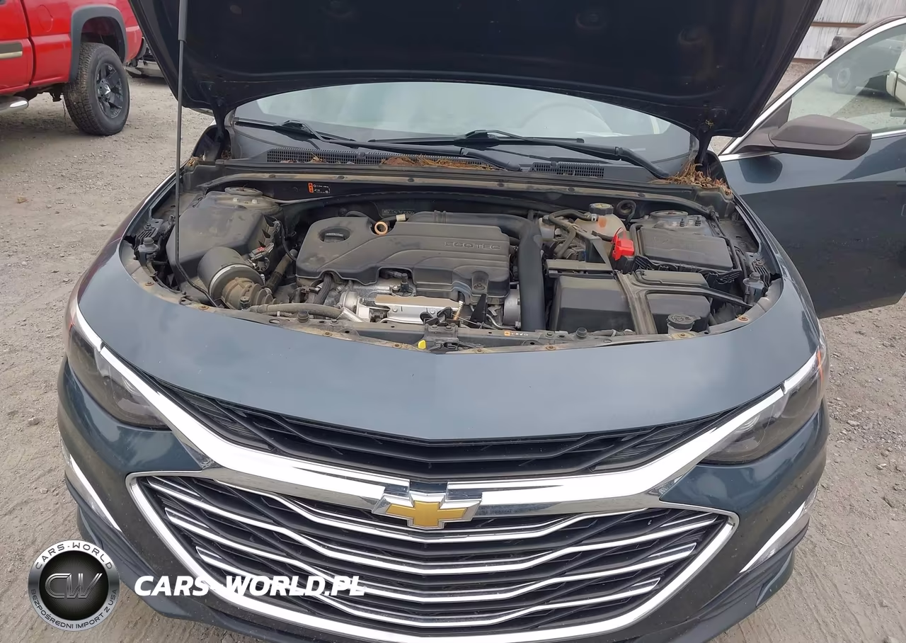 2019 Chevrolet Malibu 1Fl VIN:1G1ZC5ST9KF208230 - 10