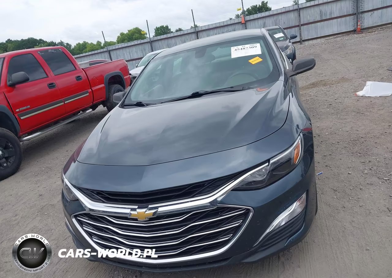 2019 Chevrolet Malibu 1Fl VIN:1G1ZC5ST9KF208230 - 12
