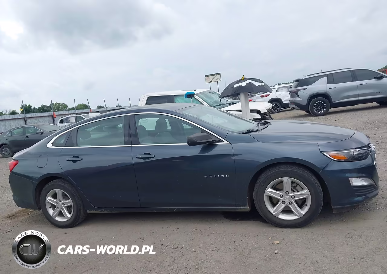 2019 Chevrolet Malibu 1Fl VIN:1G1ZC5ST9KF208230 - 13