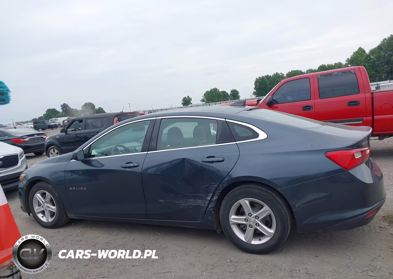 2019 Chevrolet Malibu 1Fl VIN:1G1ZC5ST9KF208230 - 14