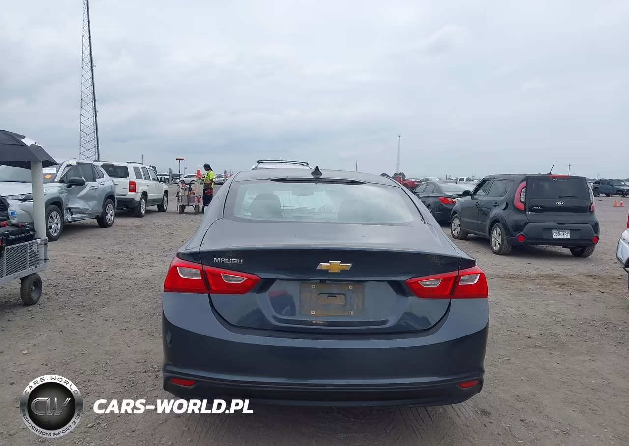 2019 Chevrolet Malibu 1Fl VIN:1G1ZC5ST9KF208230 - 16