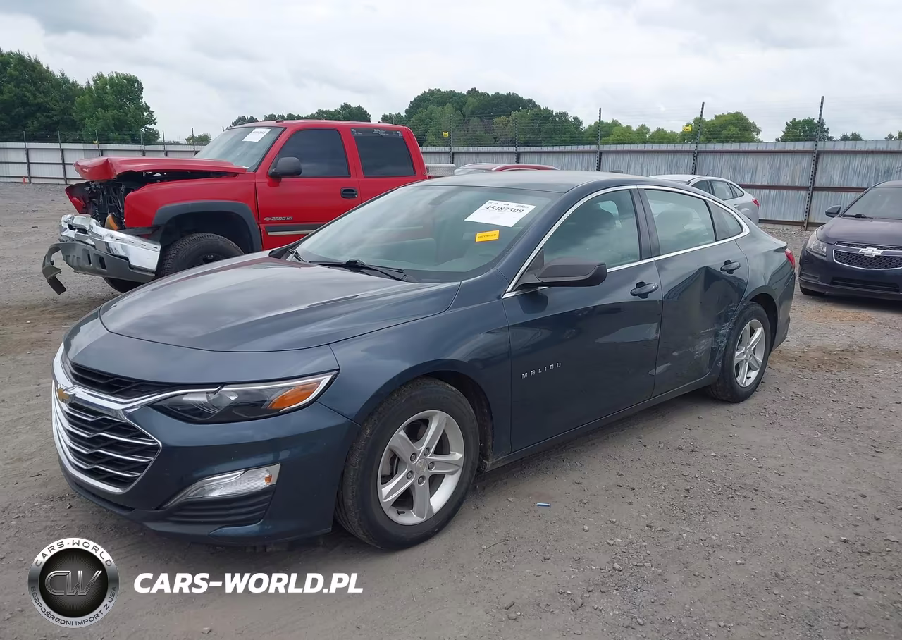 2019 Chevrolet Malibu 1Fl VIN:1G1ZC5ST9KF208230 - 2