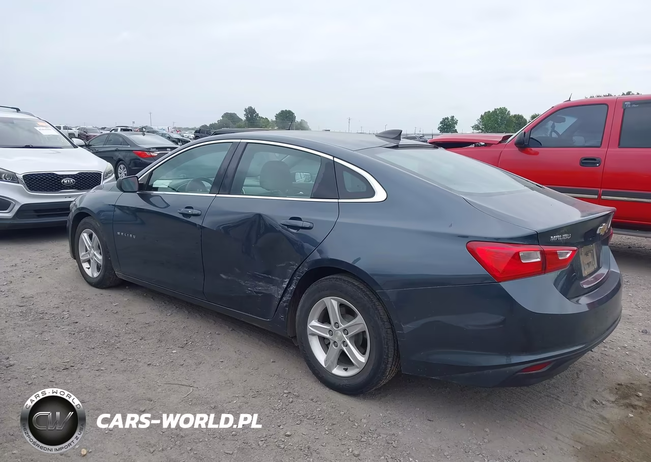 2019 Chevrolet Malibu 1Fl VIN:1G1ZC5ST9KF208230 - 3