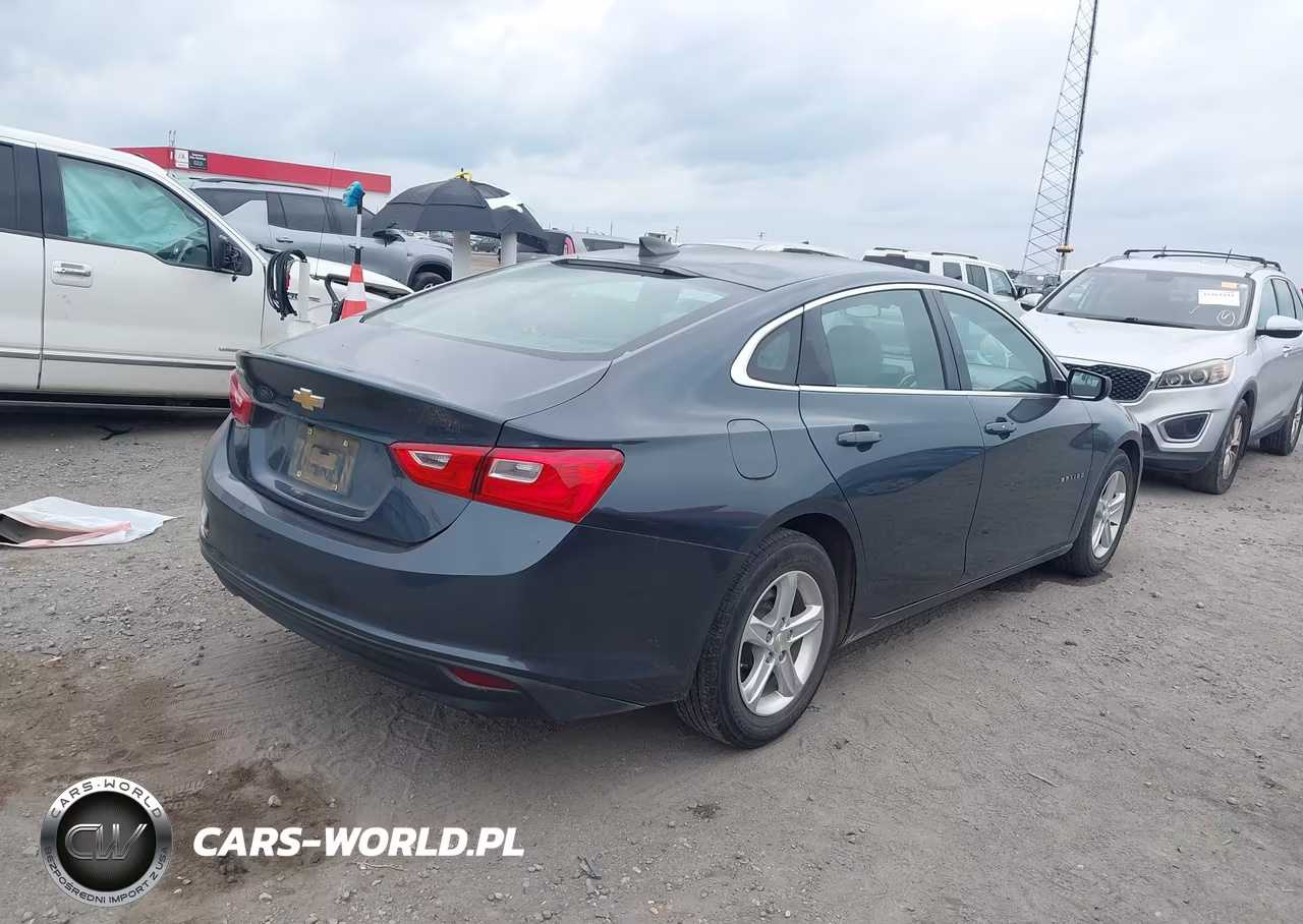 2019 Chevrolet Malibu 1Fl VIN:1G1ZC5ST9KF208230 - 4