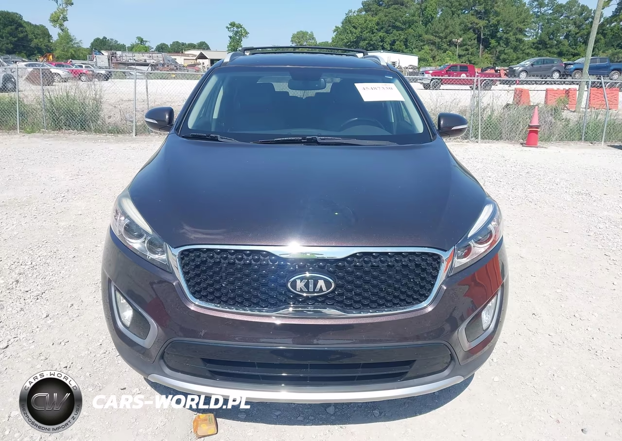 2016 Kia Sorento 3.3L Ex VIN:5XYPH4A58GG099826 - 12
