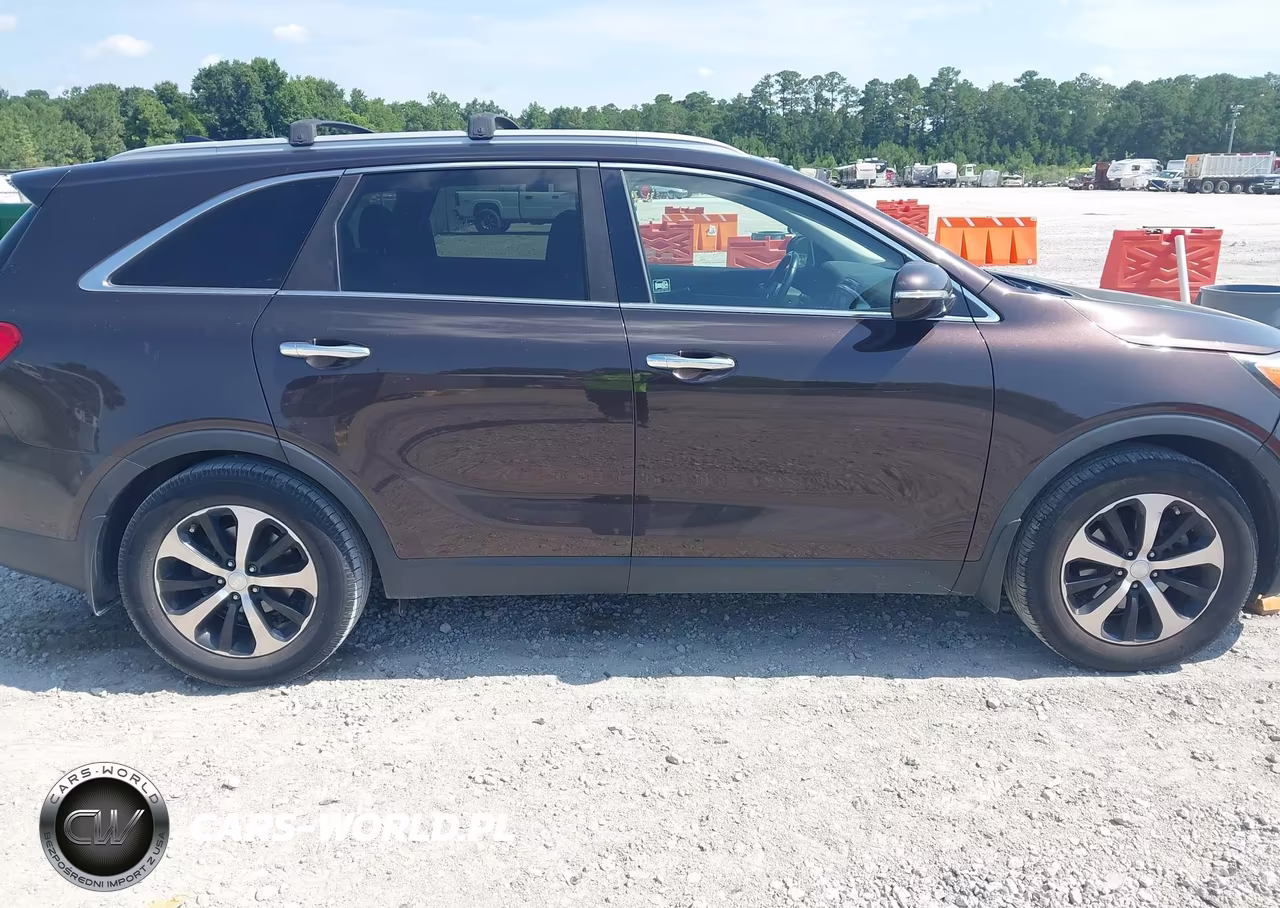 2016 Kia Sorento 3.3L Ex VIN:5XYPH4A58GG099826 - 13