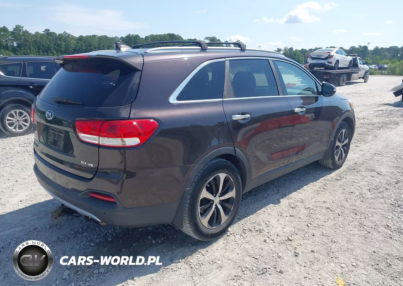 2016 Kia Sorento 3.3L Ex VIN:5XYPH4A58GG099826 - 4