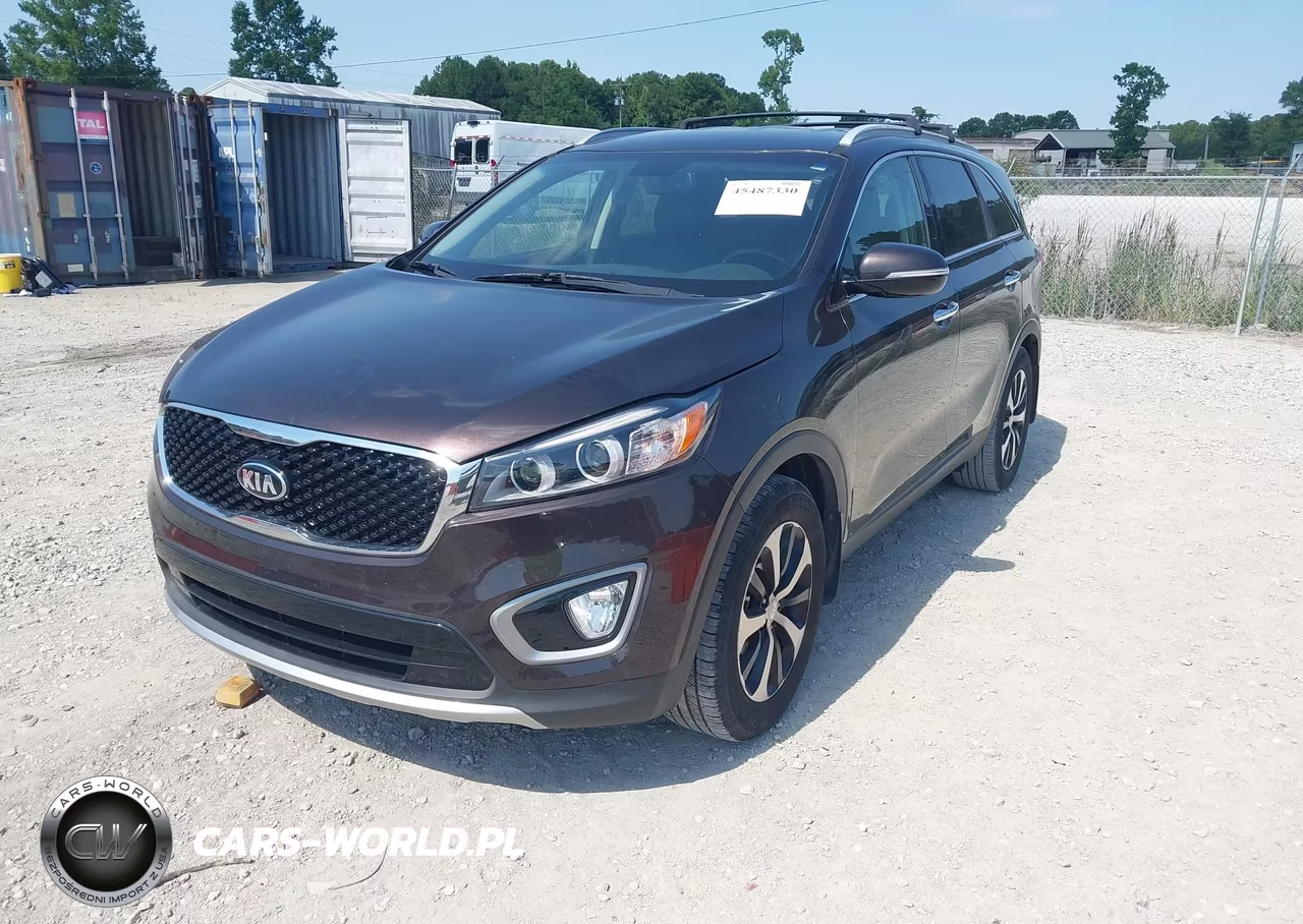 2016 Kia Sorento 3.3L Ex VIN:5XYPH4A58GG099826 - 6
