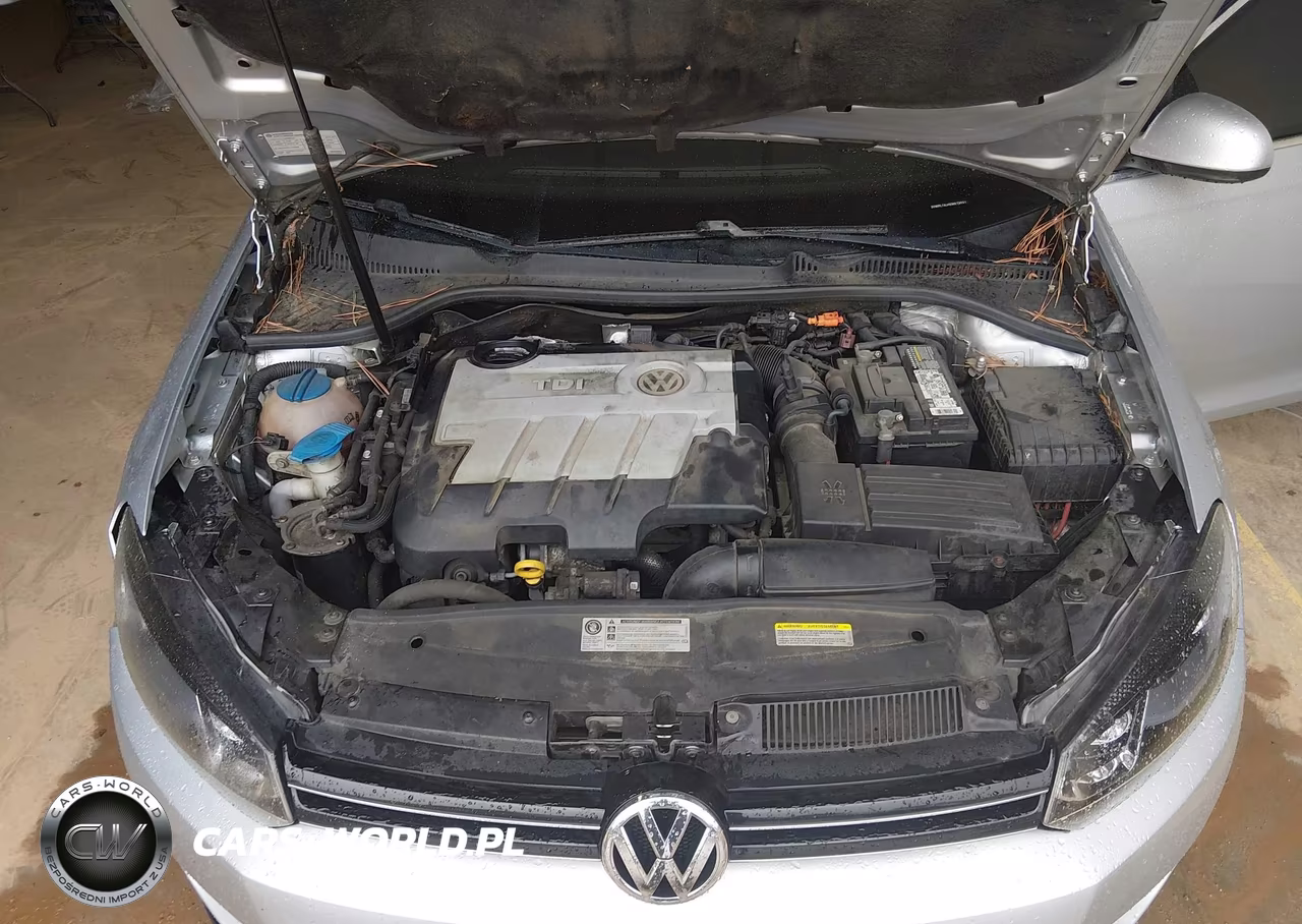 2014 Volkswagen Jetta Sportwagen 2.0L Tdi VIN:3VWPL7AJ4EM619031 - 10