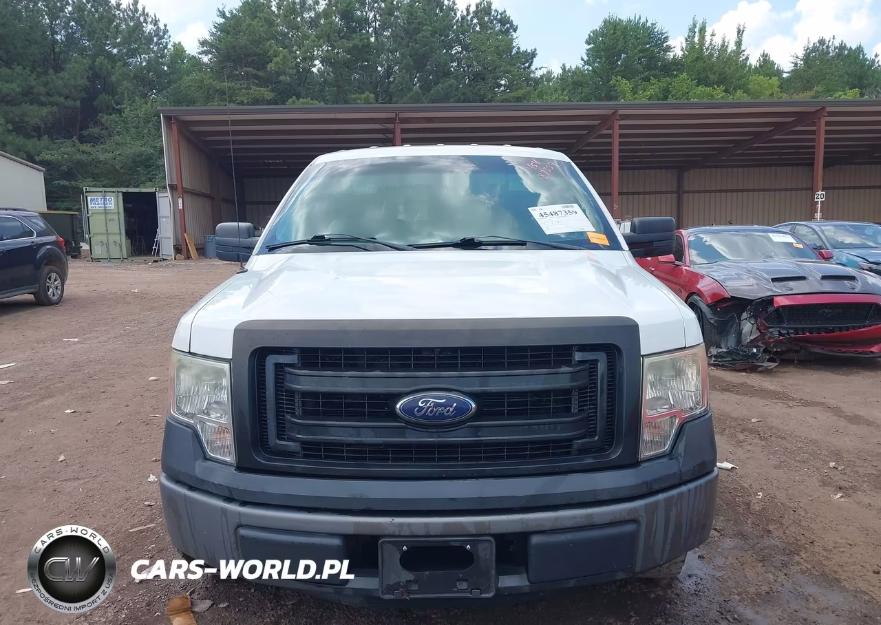 2013 Ford F-150 Stx-Xl-Xlt VIN:1FTMF1CM3DKD73855 - 13