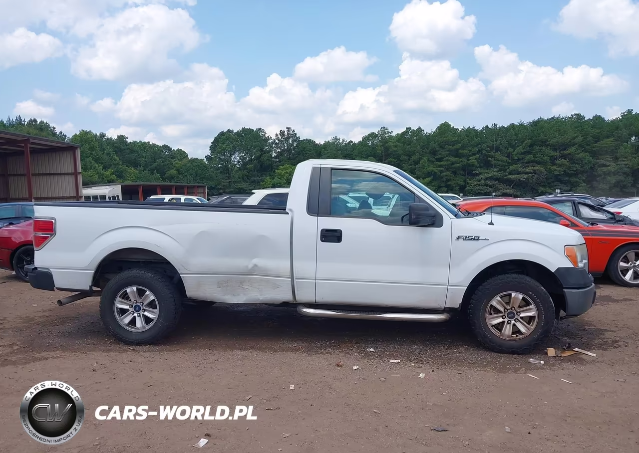 2013 Ford F-150 Stx-Xl-Xlt VIN:1FTMF1CM3DKD73855 - 14