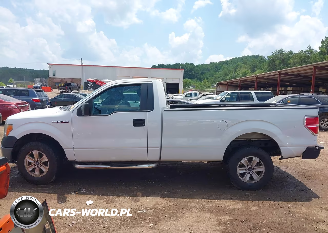 2013 Ford F-150 Stx-Xl-Xlt VIN:1FTMF1CM3DKD73855 - 15