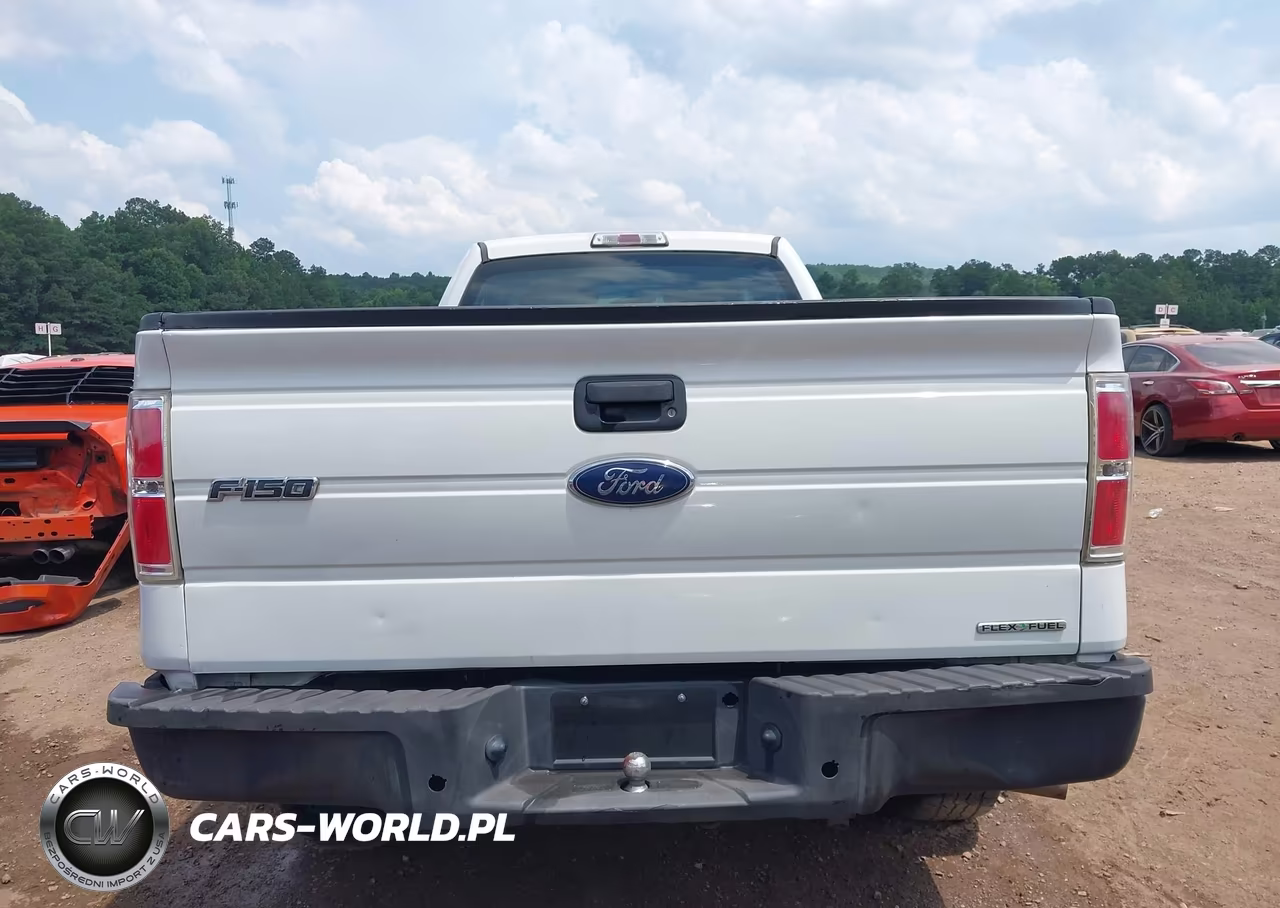 2013 Ford F-150 Stx-Xl-Xlt VIN:1FTMF1CM3DKD73855 - 17