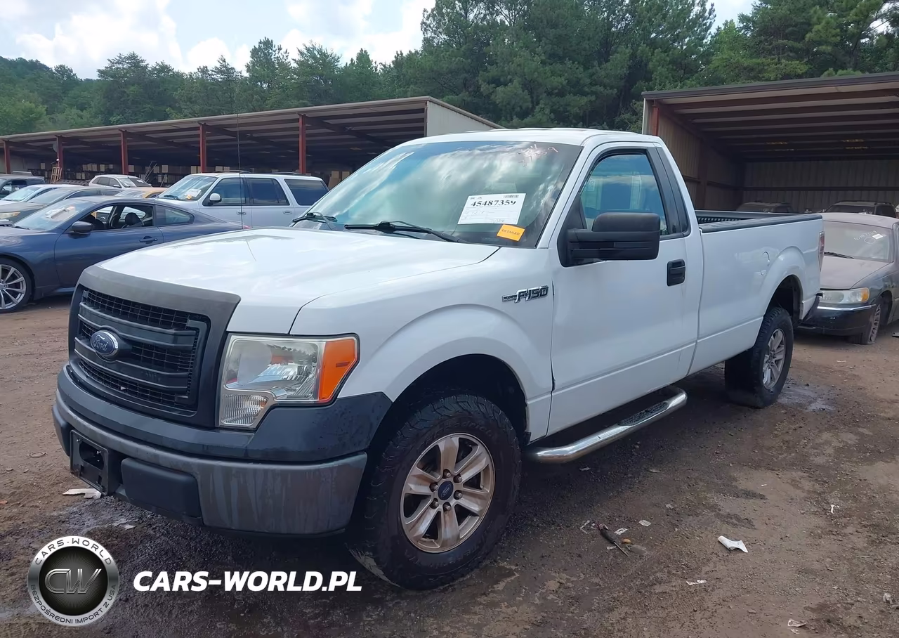 2013 Ford F-150 Stx-Xl-Xlt VIN:1FTMF1CM3DKD73855 - 2