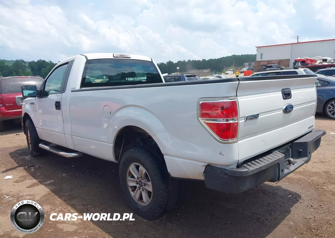 2013 Ford F-150 Stx-Xl-Xlt VIN:1FTMF1CM3DKD73855 - 3