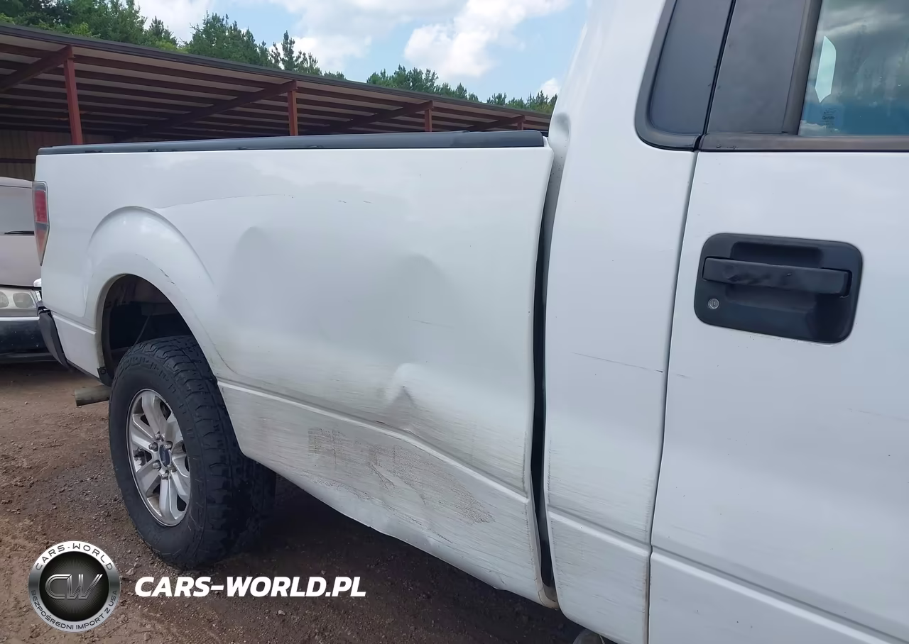 2013 Ford F-150 Stx-Xl-Xlt VIN:1FTMF1CM3DKD73855 - 6