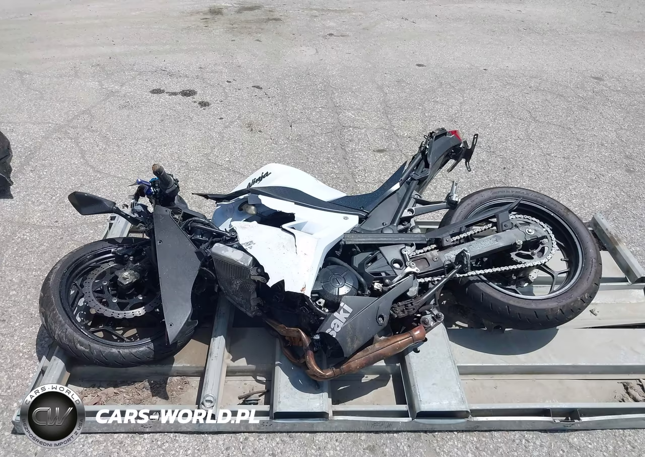 2013 Kawasaki Ex300 A VIN:JKAEX8A18DDA01982 - 13