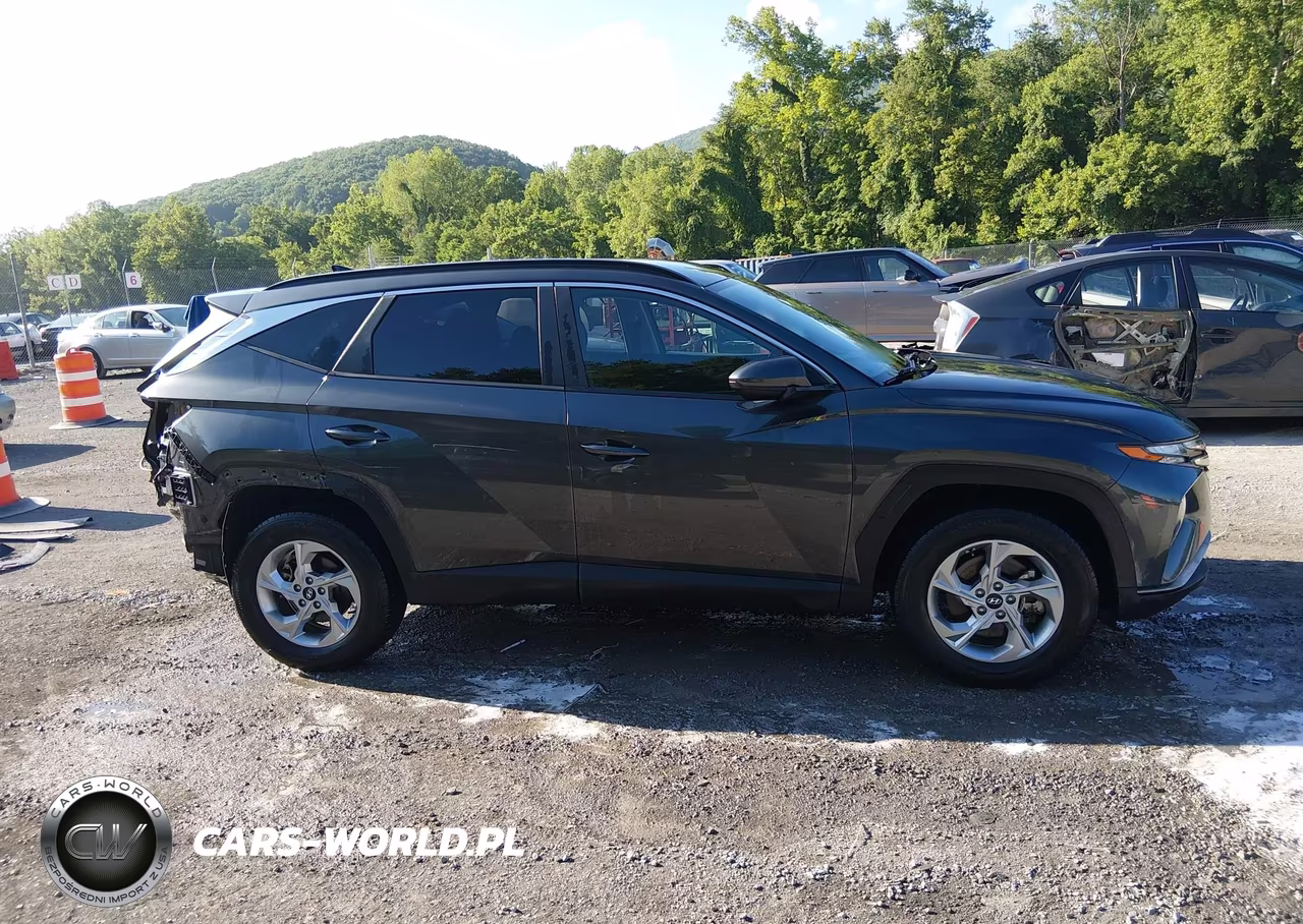2024 Hyundai Tucson Sel VIN:5NMJBCDE9RH307329 - 14