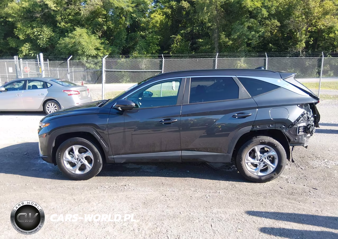 2024 Hyundai Tucson Sel VIN:5NMJBCDE9RH307329 - 15