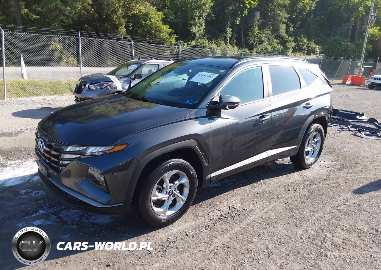 2024 Hyundai Tucson Sel VIN:5NMJBCDE9RH307329 - 2